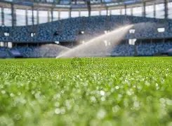 拜仁,力克圣保利,德甲第,欧博,oubo,Abg,欧博注册网址,欧博app,欧博官网,欧博网站,欧博下载